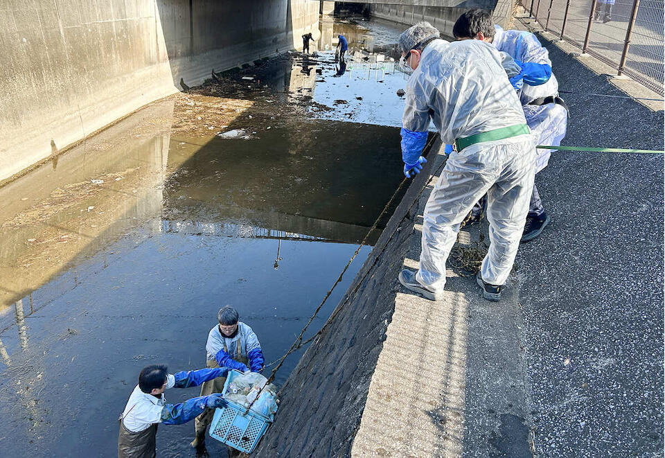 第51回葛西用水路ボランティア 作業中
