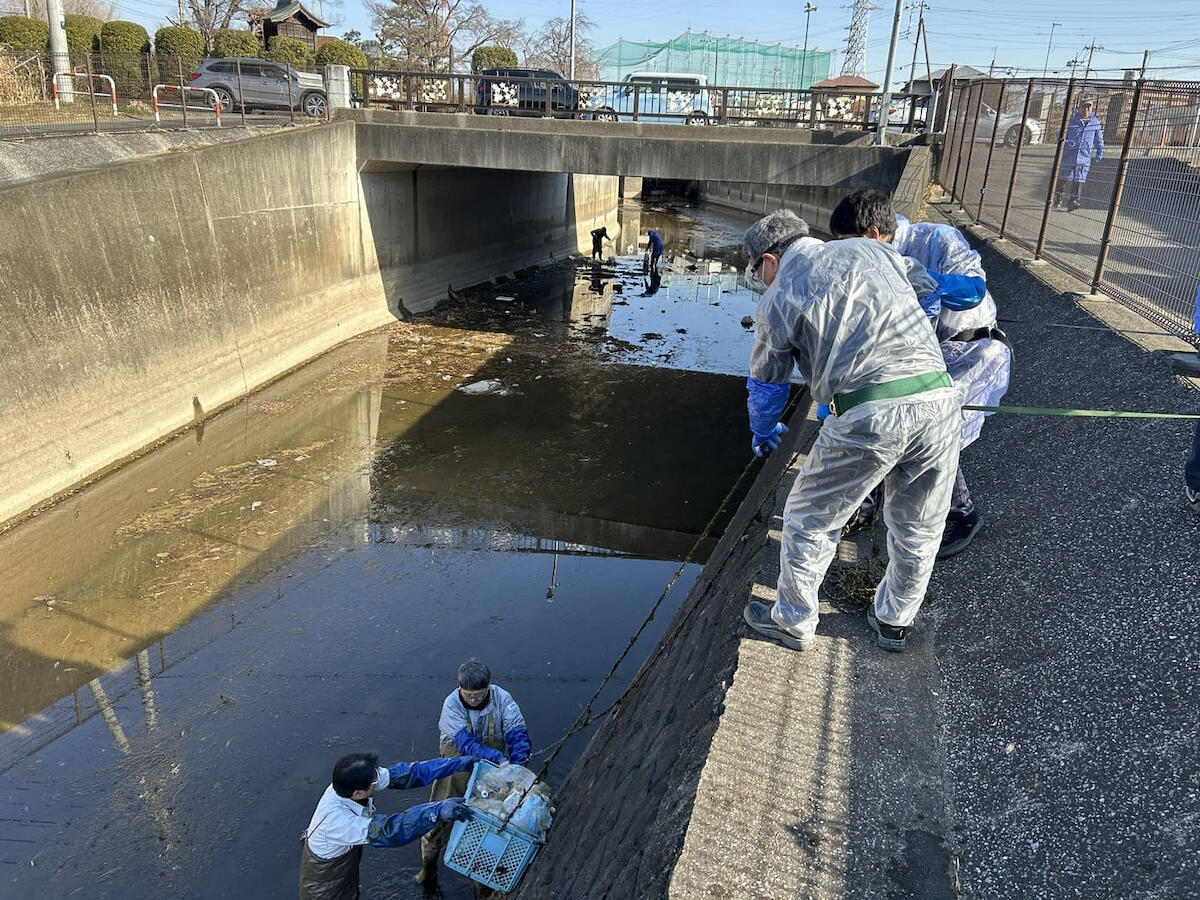 第51回葛西用水路ボランティア 作業中