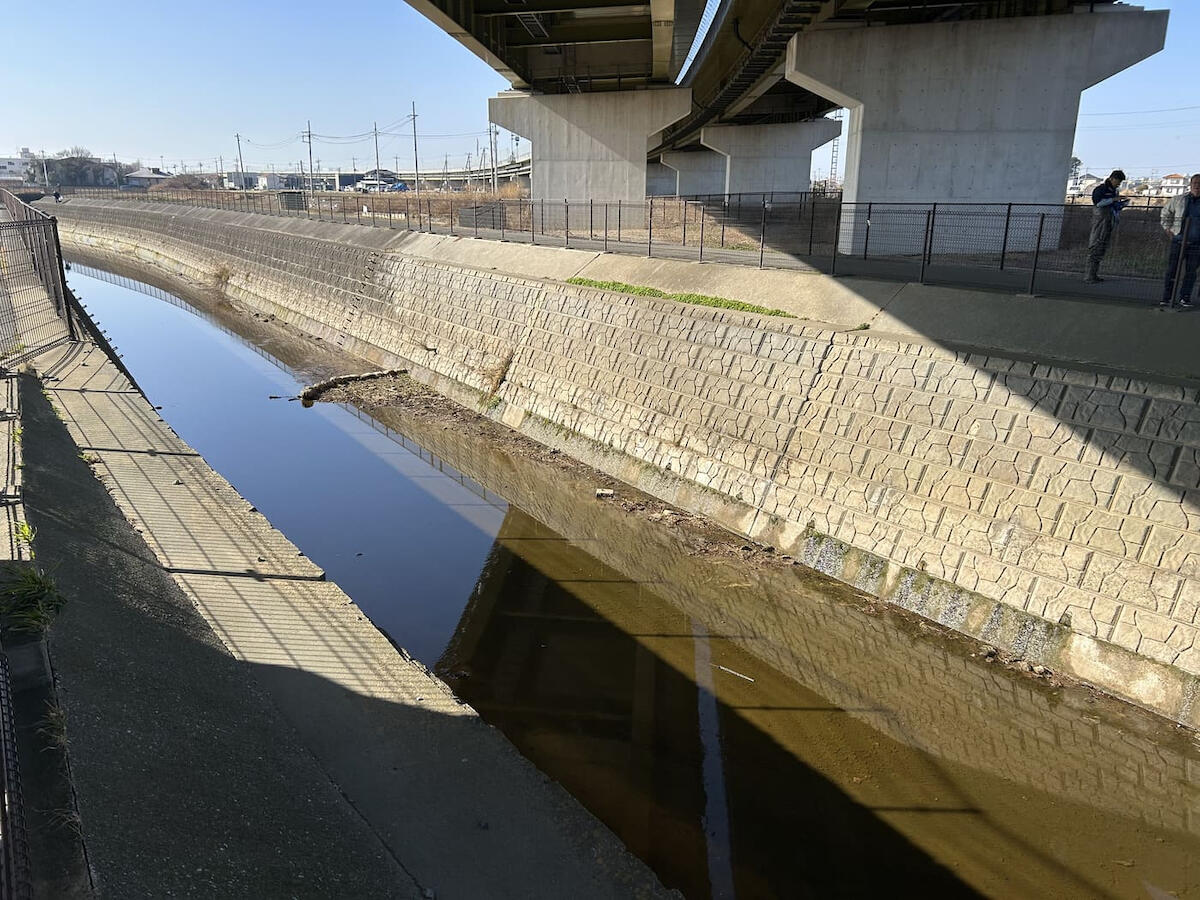 第51回葛西用水路ボランティア　作業後の用水路