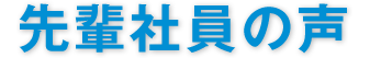 先輩社員の声