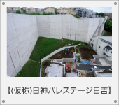 (����) ���_�p���X�e�[�W���g