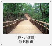 ����n�����@�e�щ��H