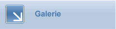 Galerie