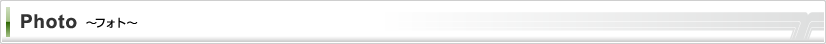 フォト