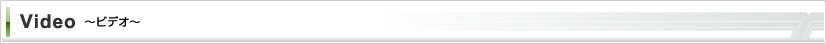 ビデオ