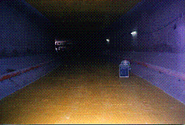 �{�H����