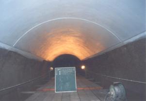 �����S�i