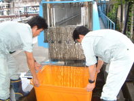 ���ʑ���