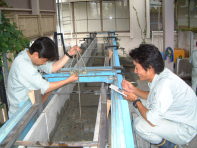 ���[����