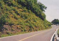 �{�H��4�N�S�i