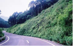 �e�N�\���O���[���H�@