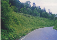 �{�H��5�N�S�i