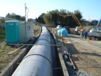 �{�H�ꏊ�S�i