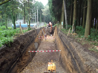 ���H���݌��̌@��