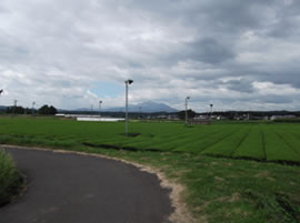 �n��̉c�_��(����)