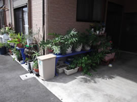 �����ɓw�߂錻�ꎖ����